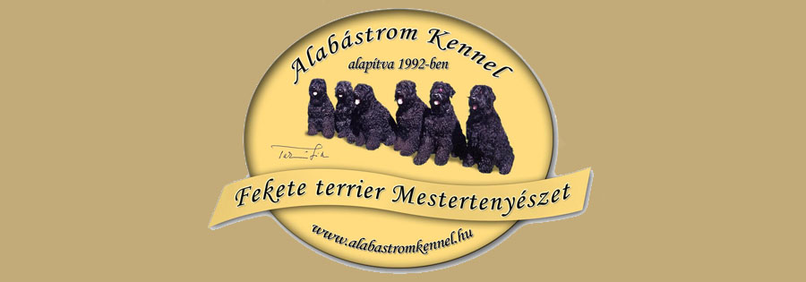 Üdvözöljük az Alabástrom Kennel, Orosz Fekete Terrier - Mestertenyészet weboldalán!